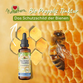 Bienenprodukte