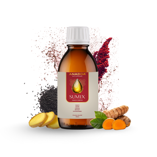 h-complex-mit-kurkuma-bentonit-schwarzkummeloel-ingwer